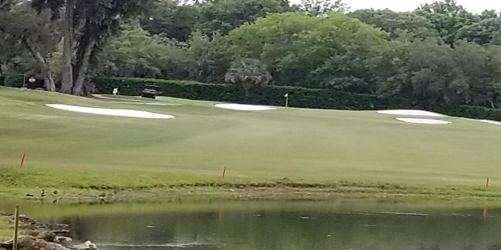 Not An Easy Par 3 Not An Easy Par 3